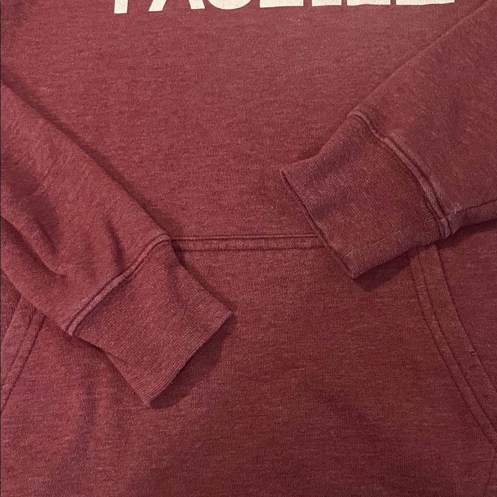 The North Face Burgundy Pullover Hoodie - Picture 7 of 8